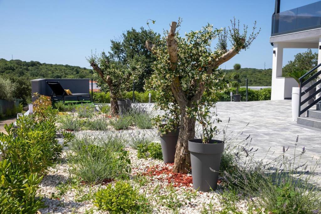 Apartments Lost Paradise - Modern furnished apartments with a large pool, Apartments Lost Paradise Rovinj in seclusion with a pool, Istria, Croatia Rovinjsko Selo
